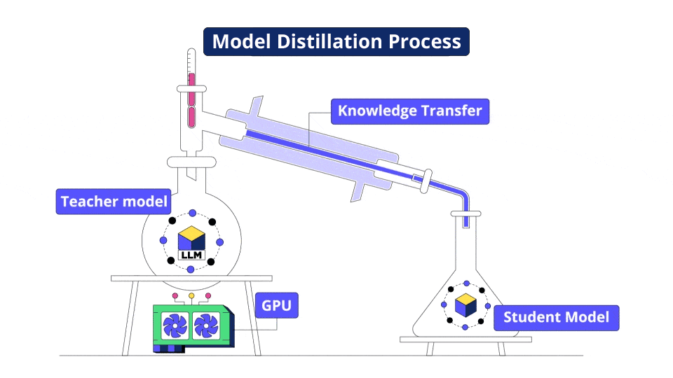 Model distillation process