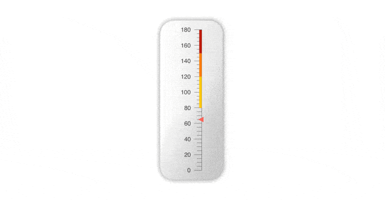 scale-options-linear-gauge