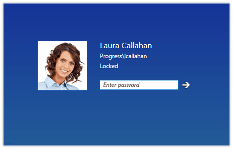 Telerik UI for WPF RadPasswordBox overview