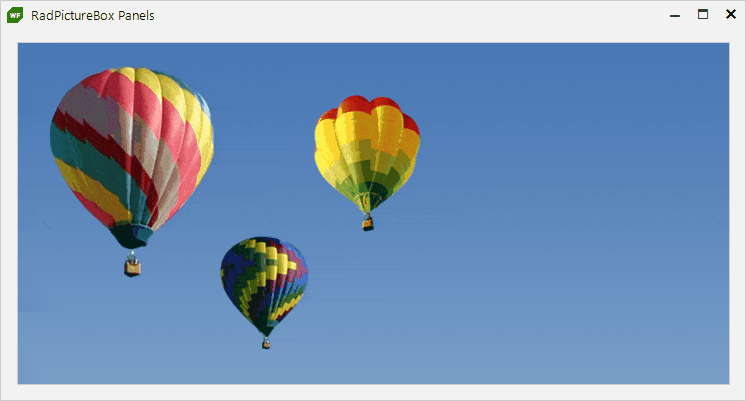 WinForms PictureBox displaying Flexible Customizations