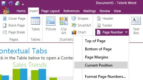 WPF RibbonView control displaying Office UI Compliance