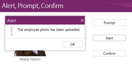 Predefined Dialogue WPF Windows