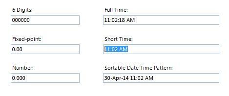 WinForms MaskedEditBox control Overview