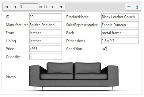 WinForms DataEntry control overview