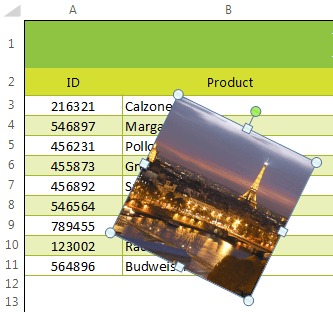 Telerik UI for WinForms Spreadsheet control Image Support