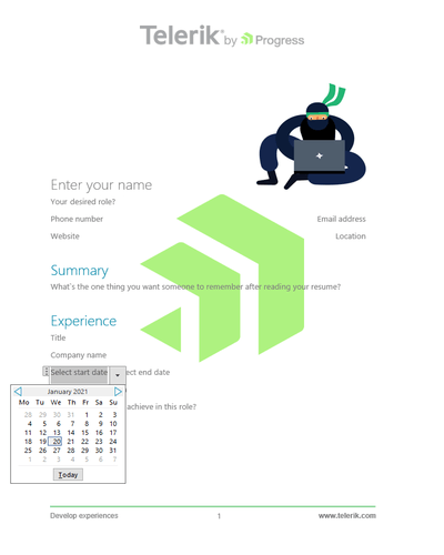 Content Controls Support in WinForms WordsProcessing Library 