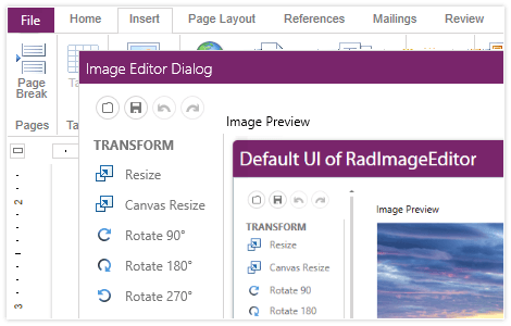 WPF RichTextBox showcasing spellchecker and image editor