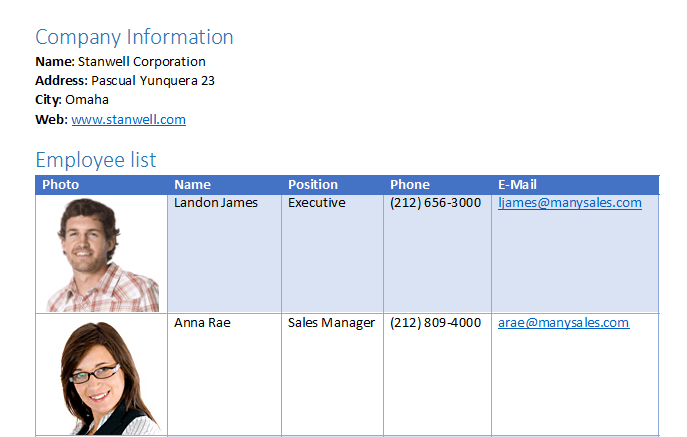 Telerik UI for WinUI WordsProcessing - Bookmarks and Hyperlinks