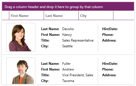 WPF DataGrid control showing Fully Customizable Look and Feel