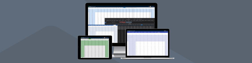 Telerik UI for WPF Virtual Grid Blog Showcase Image