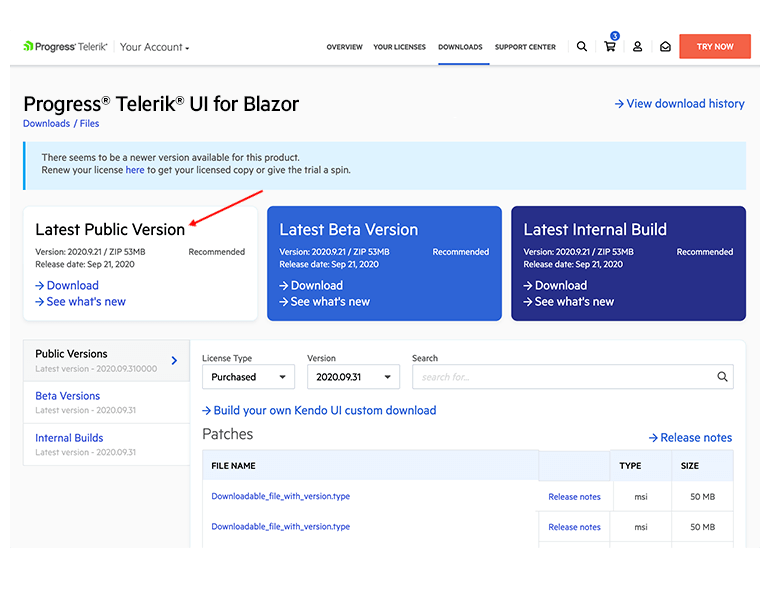 Access any other product files or the latest internal build 3