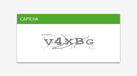 Telerik UI for ASP.NET AJAX Captcha - protection modes