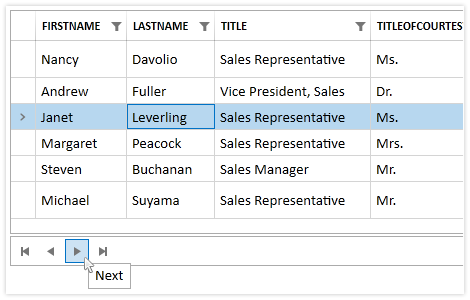 Built-in Themes in the WPF CollectionNavigator control
