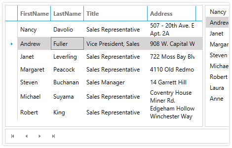 Editing and Navigation in the WPF CollectionNavigator control