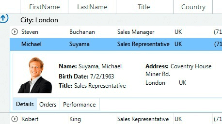 Custom Views and Layouts WinForms GridView