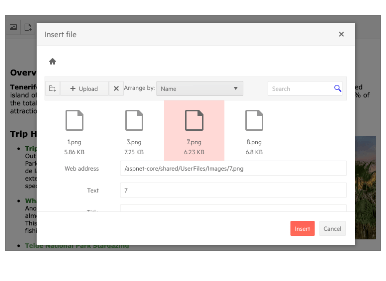 editor-file-attachment