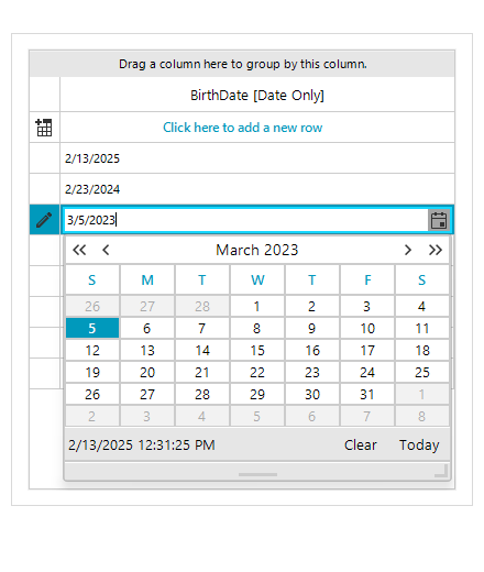 GridView DateOnly Column WinForms
