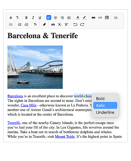 NET MAUI RichTextEditor showing a Context Menu