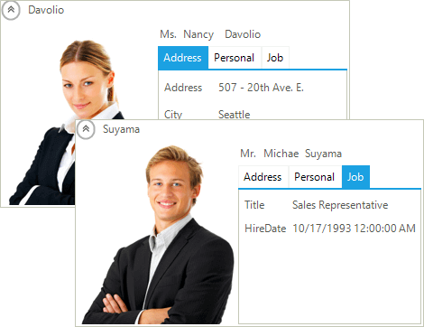 Telerik UI for WinForms displaying CardView control