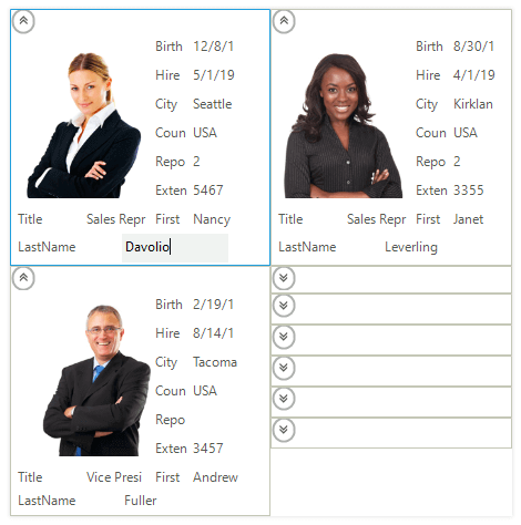 Telerik UI for WinForms displaying CardView Selection