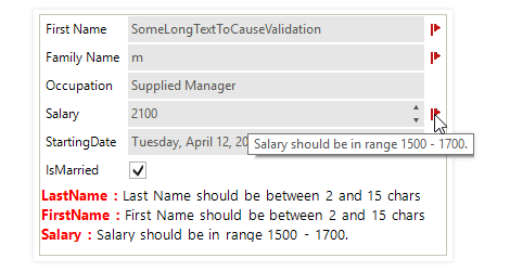 UI for WinForms DataLayout control displaying Validation