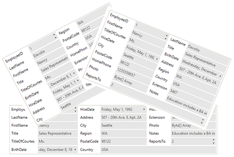 UI for WinForms DataLayout control displaying Component Arrangement