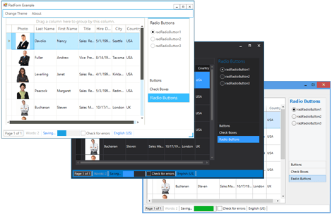 WinForms Form displaying multiple themes