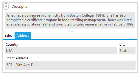 UI for WinForms LayoutControl displaying Groups and Expanders