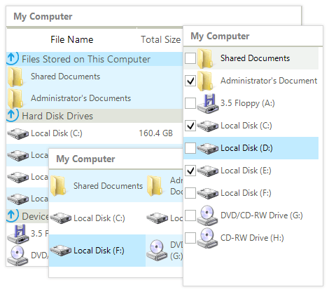 WinForms ListView control displaying Selection and Checkboxes