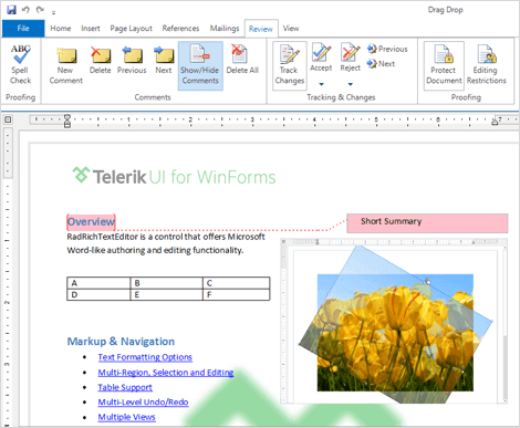 WinForms RadRichTextEditor control demonstrating Model Support