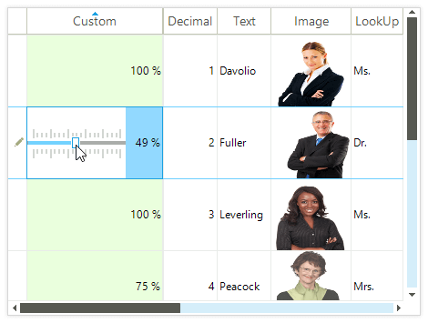 VirtualGrid for Telerik WinForms Editors Screenshot