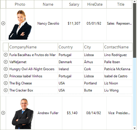 VirtualGrid for Telerik WinForms Hierarchy screenshot