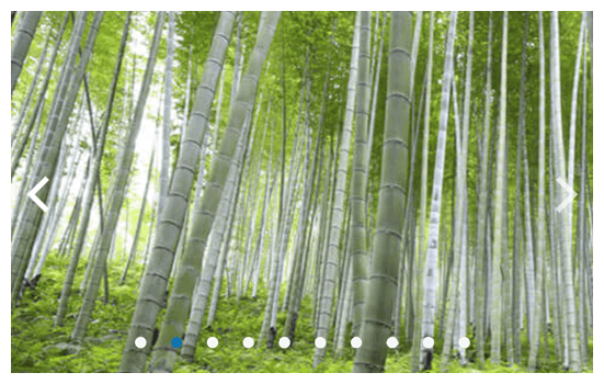 Scrollview Component example in the context of a picture gallery