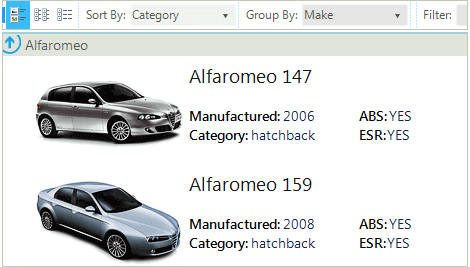 WinForms ListView control displaying Sorting