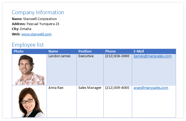 Telerik UI for WinForms WordsProcessing - Bookmarks and Hyperlinks