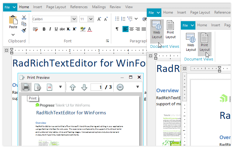 Telerik UI for WinForms RichTextEditor control displaying Different Views and Printing