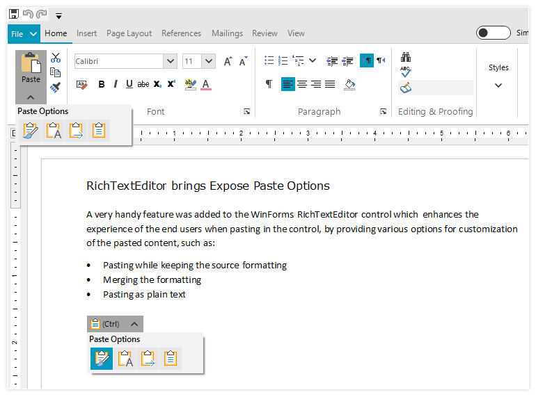 Telerik WinForms RichTextEditor control displaying Paste Options