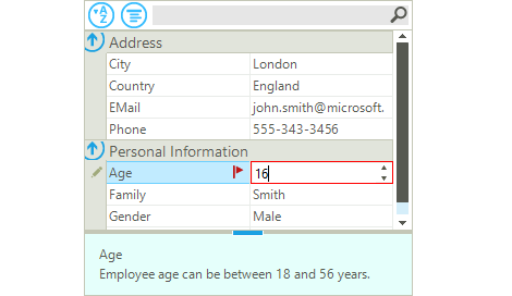 WinForms PropertyGrid Control displaying Validation