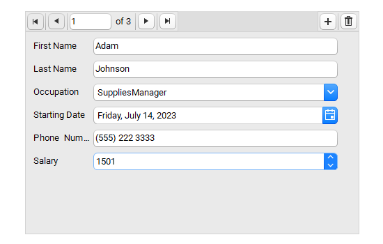 WinForms data entry control