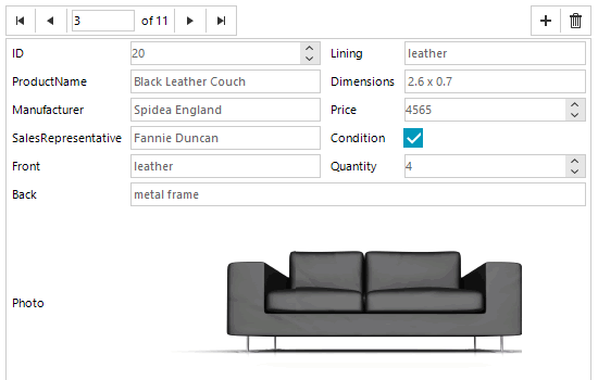 WinForms data layout control