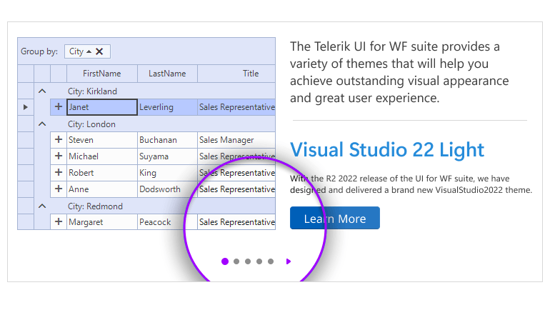 WinForms PipsPager control showing Customization