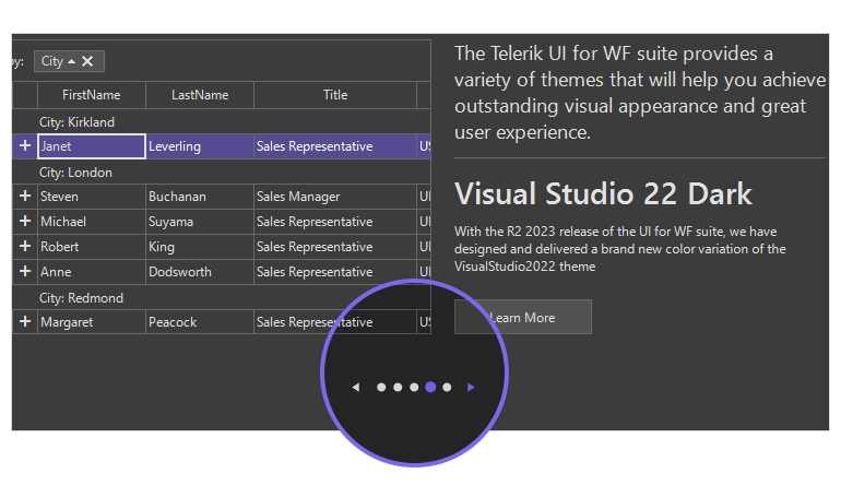 WinForms PipsPager control showing Navigation
