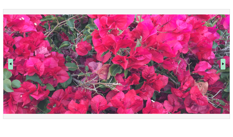 WinForms SlideView showing Customizing navigation buttons