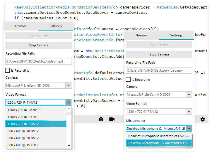 Device and Codecs Selection in the WinForms WebCam