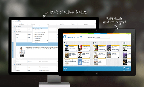 WinForms Telerik Presentation Framework (TPF) Overview