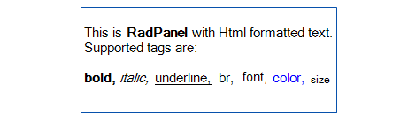 Telerik UI for WinForms Panel Example