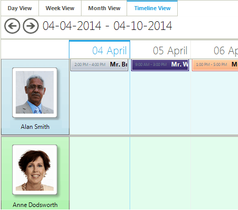 WinForms Scheduler control displaying Custom Resource and Resource Grouping
