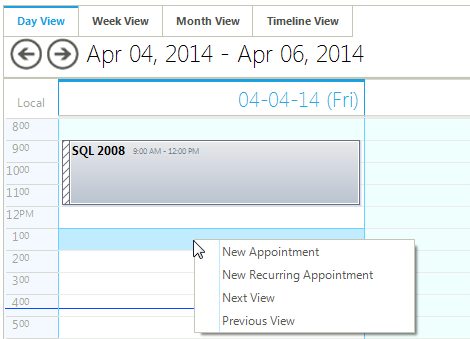 WinForms Scheduler displaying End User Capabilities