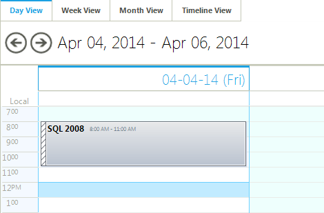 WinForms Scheduler control displaying day view